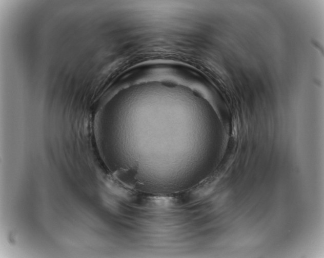 X0000095880233200801111140