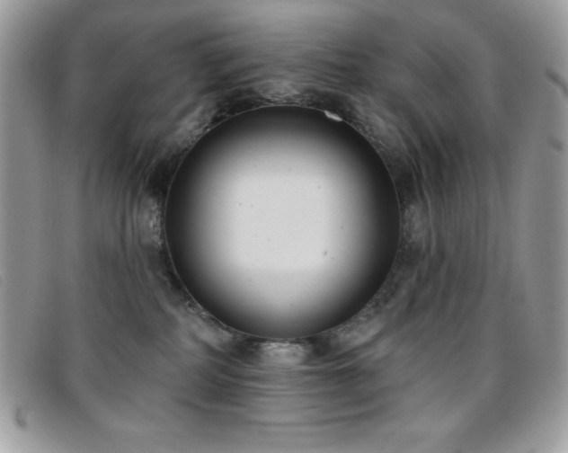 X0000095880234200801111140