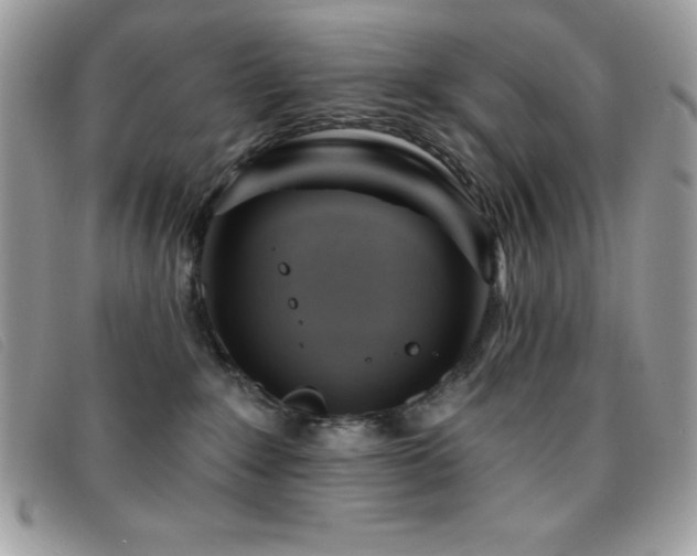 X0000095880235200801111140