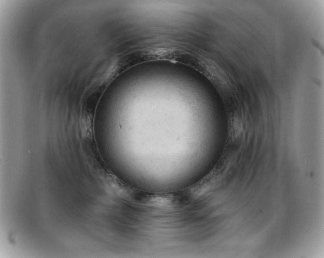 X0000095880236200801111140