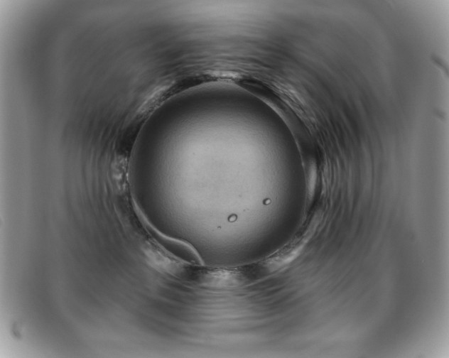 X0000095880237200801111140