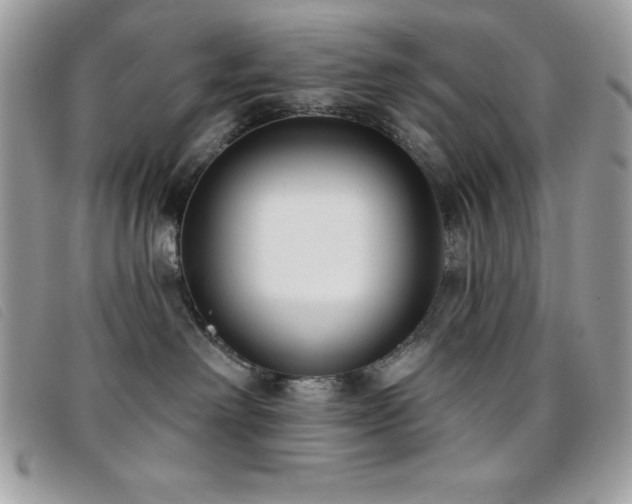 X0000095880238200801111140