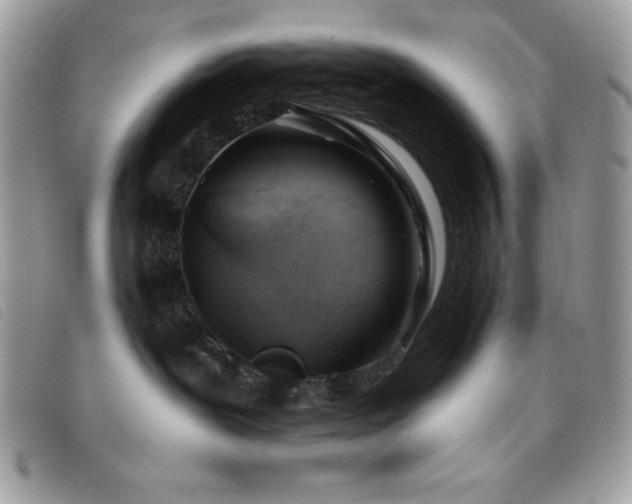 X0000095880239200801111140