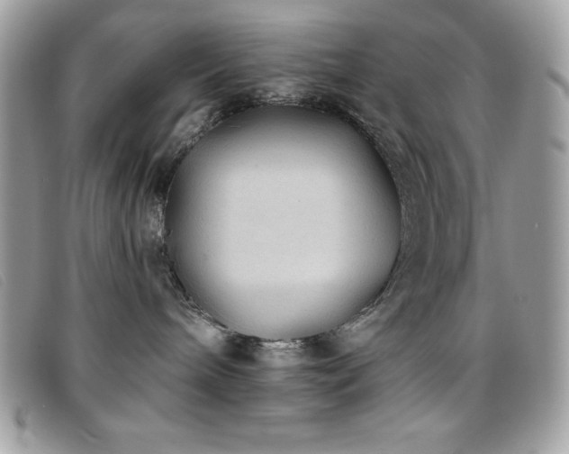 X0000095880240200801111140