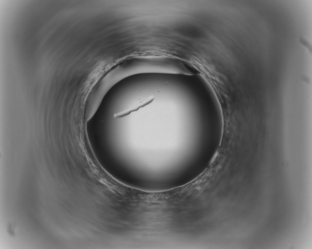 X0000095880241200801111139
