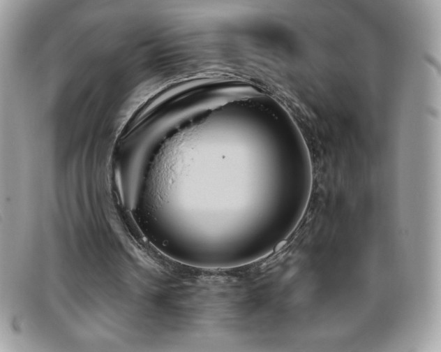 X0000095880242200801111139