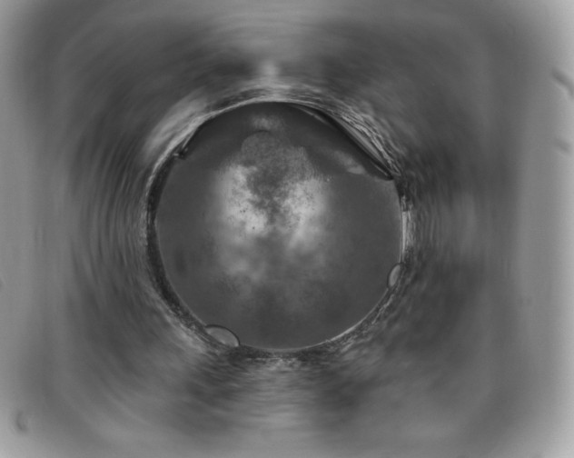 X0000095880243200801111139