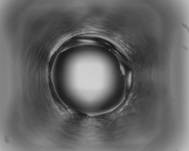 X0000095880244200801111139