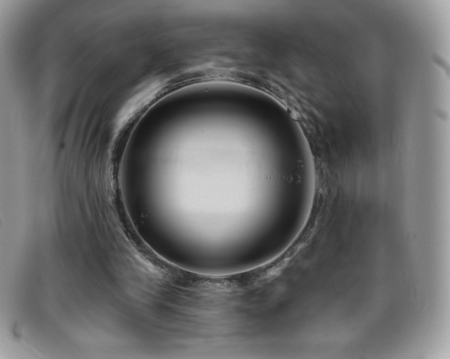 X0000095880245200801111139