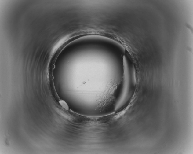 X0000095880246200801111139