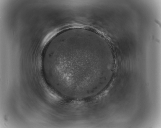 X0000095880247200801111139