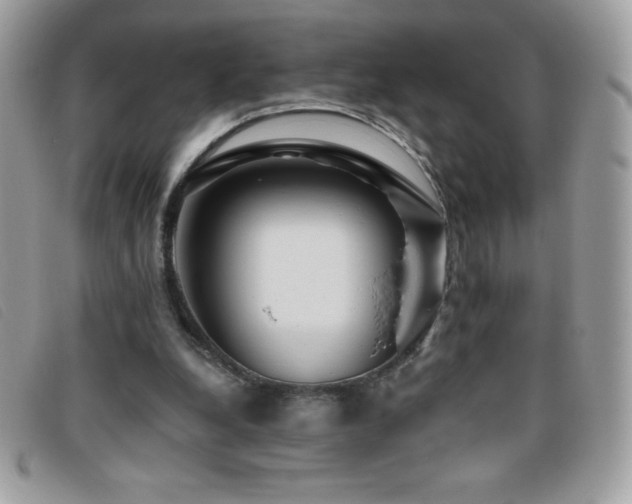 X0000095880248200801111139