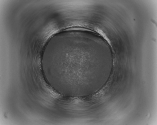X0000095880249200801111139
