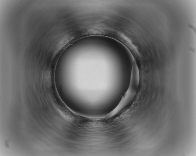 X0000095880250200801111139