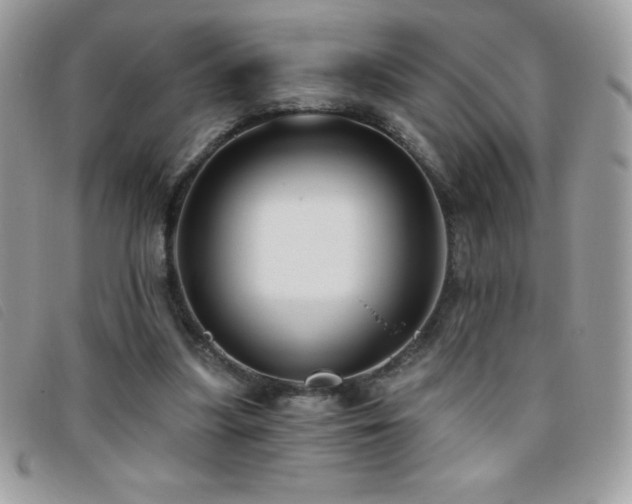 X0000095880251200801111139