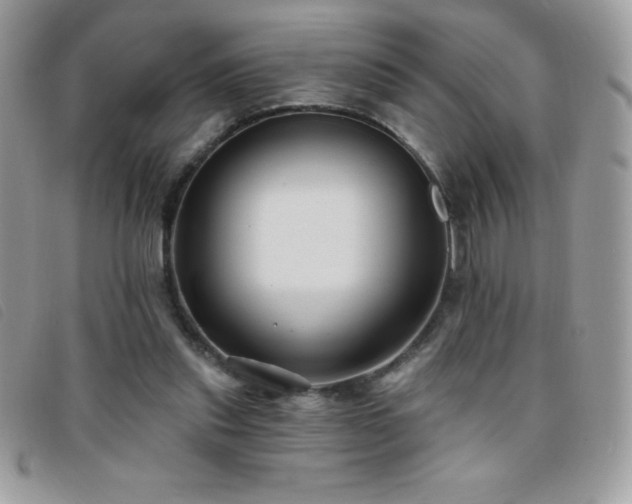 X0000095880253200801111139