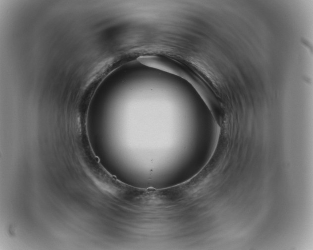 X0000095880254200801111139