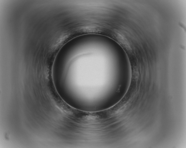 X0000095880255200801111139