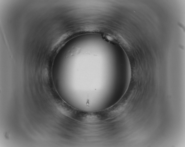 X0000095880256200801111140