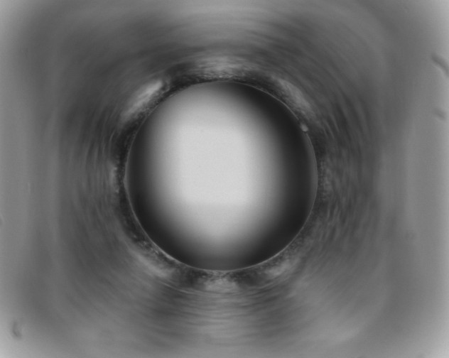 X0000095880258200801111140