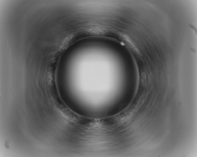 X0000095880259200801111140