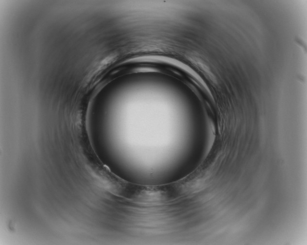 X0000095880260200801111140