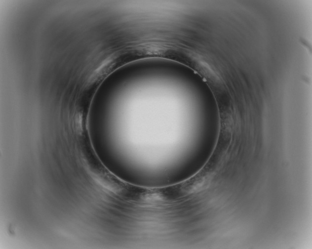 X0000095880262200801111140