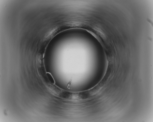 X0000095880264200801111140