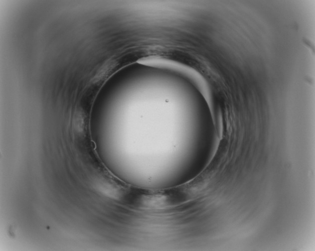 X0000095880266200801111140