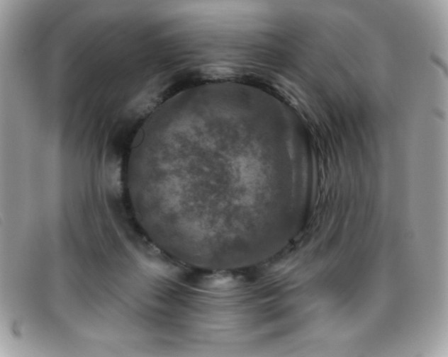 X0000095880267200801111140