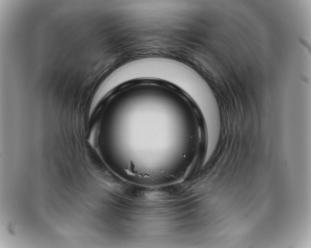 X0000095880268200801111140