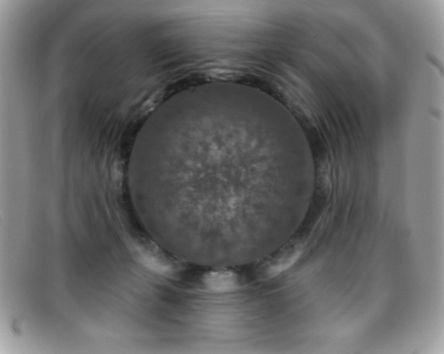 X0000095880271200801111140