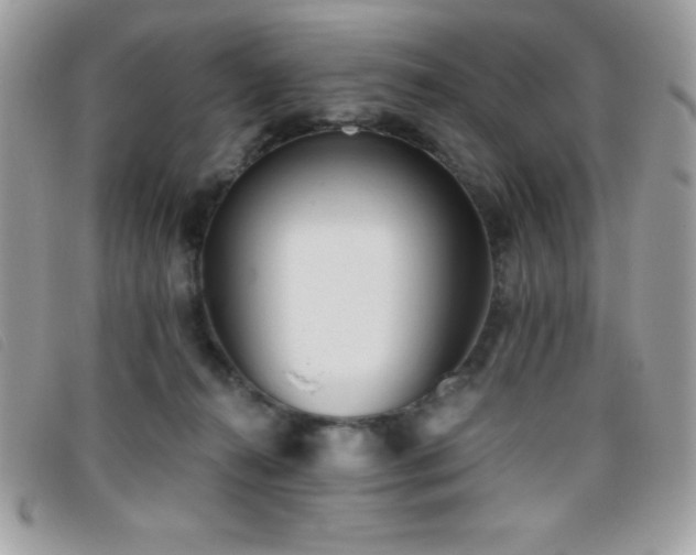 X0000095880272200801111140