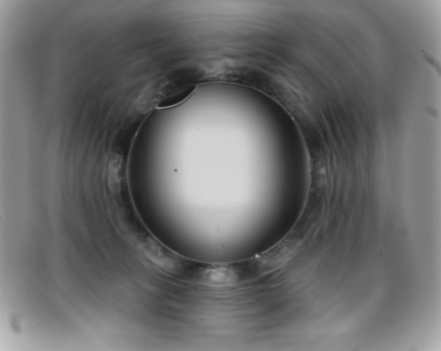 X0000095880275200801111140