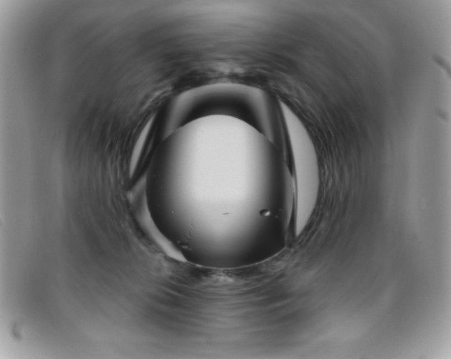X0000095880276200801111140