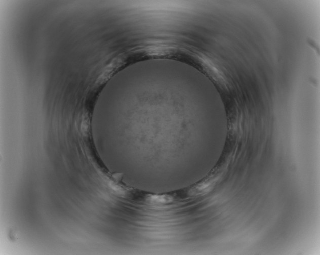 X0000095880277200801111140