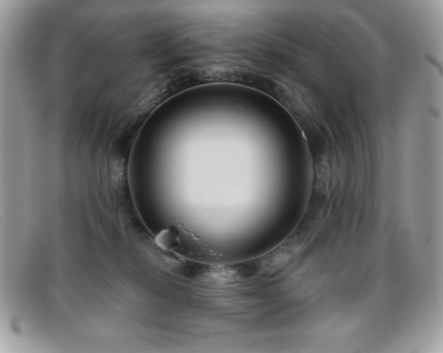 X0000095880278200801111140
