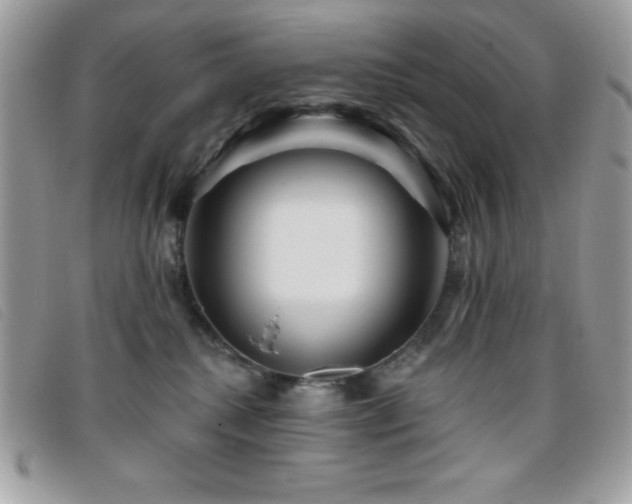 X0000095880280200801111140