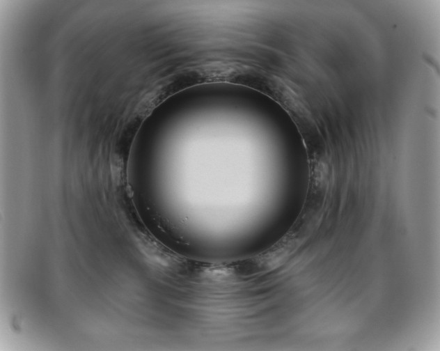 X0000095880283200801111140
