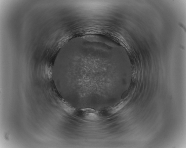X0000095880285200801111140
