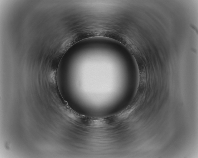 X0000095880286200801111140