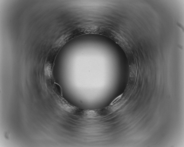 X0000095880287200801111140