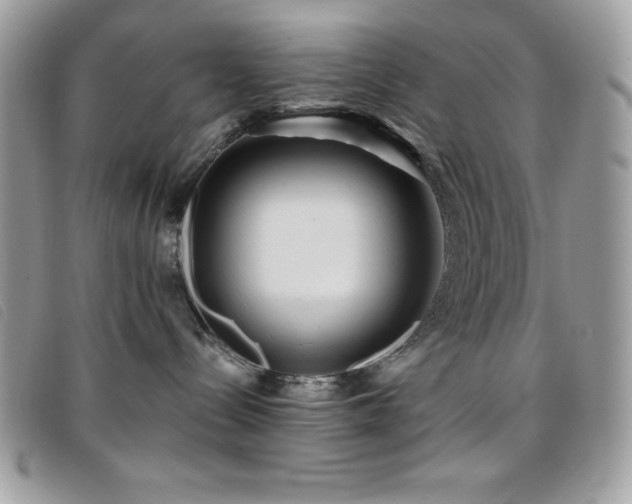 X0000095880288200801111140