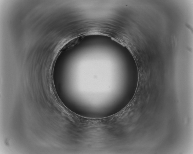 X0000095880289200801111139