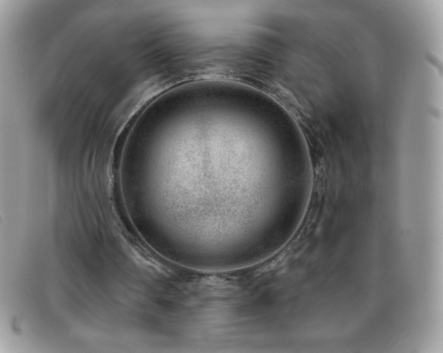 X0000095880290200801111139