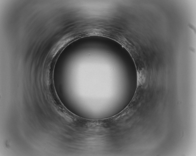 X0000095880291200801111139