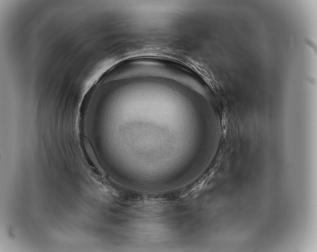 X0000095880292200801111139