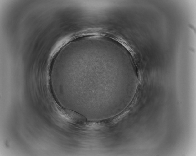 X0000095880293200801111139