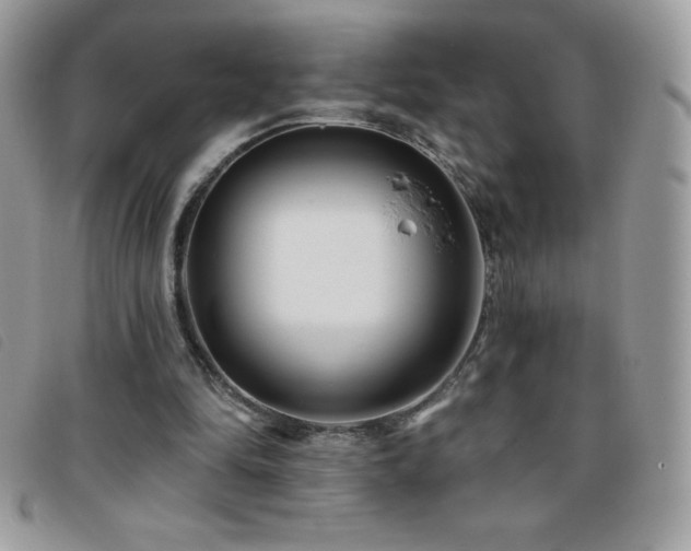X0000095880294200801111139