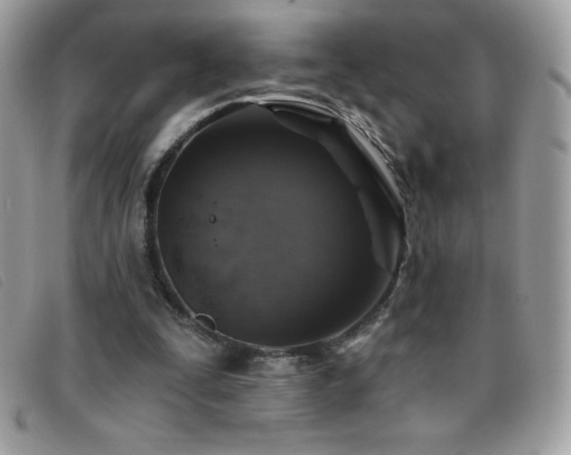 X0000095880295200801111139